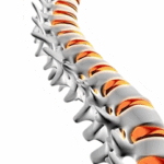 Статья блога 1