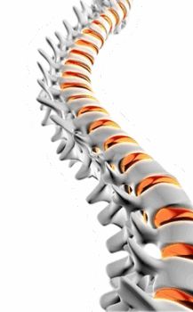 Курс из 3 сеансов остеопатии со скидкой 20% для новых клиентов нашей клиники