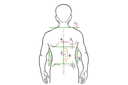 Тест на отсутствие сколиоза